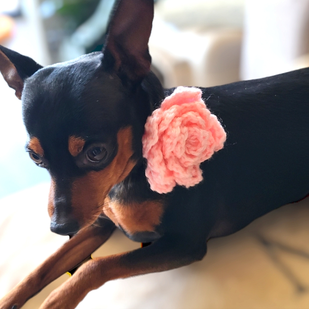 Crochet flower for dog collar, dog collar flower, pink flower dog attire